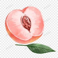 WWW,101se·COM网站APPAPP应用